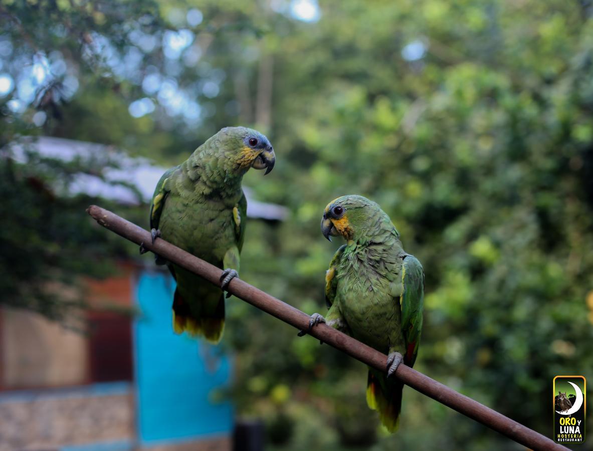 Oro Y Luna Lodge Carlos Julio Arosemena Tola ภายนอก รูปภาพ