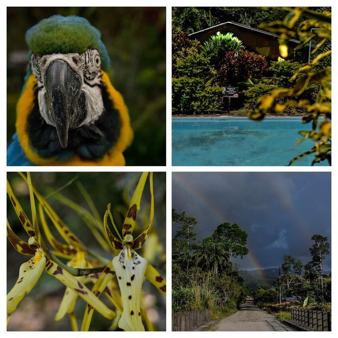 Oro Y Luna Lodge Carlos Julio Arosemena Tola ภายนอก รูปภาพ